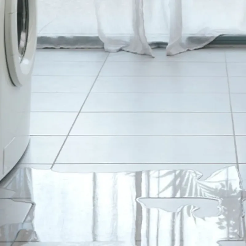 Appliance Leak Cleanup in Citrus Park, AZ